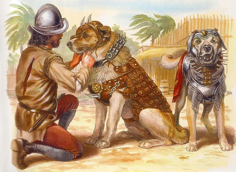 Medieval Dog Breeds