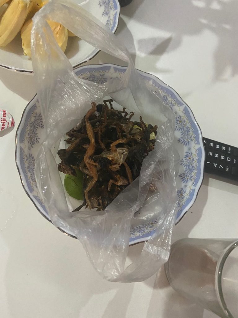 Wild Frog in Cambodia