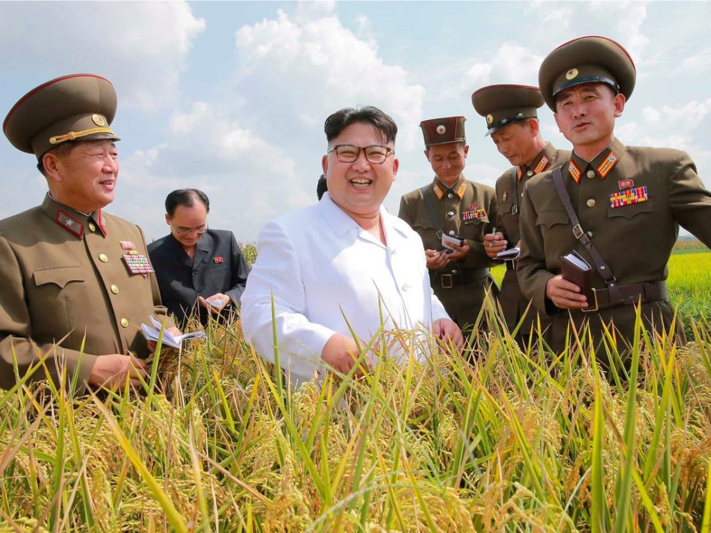 Kim Jong-Un in a field