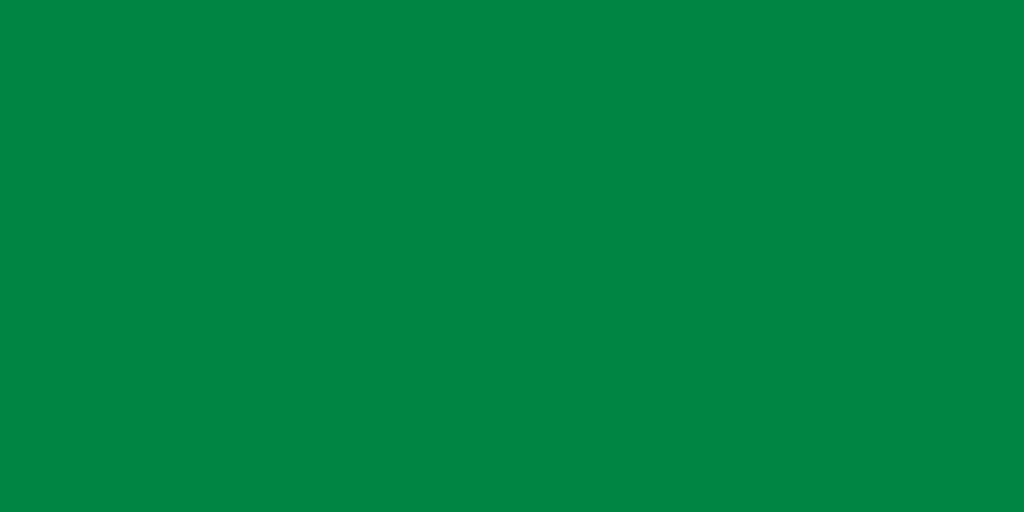 Flag of the Libyan Arab Jamahiriya