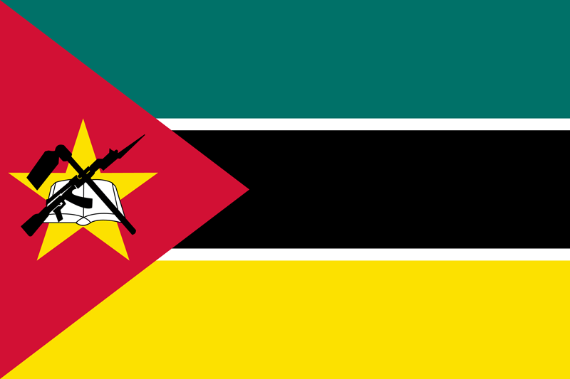Mozambique weird flag