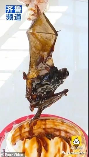 Family finds a dead bat in their oyster sauce after using it for 3 months