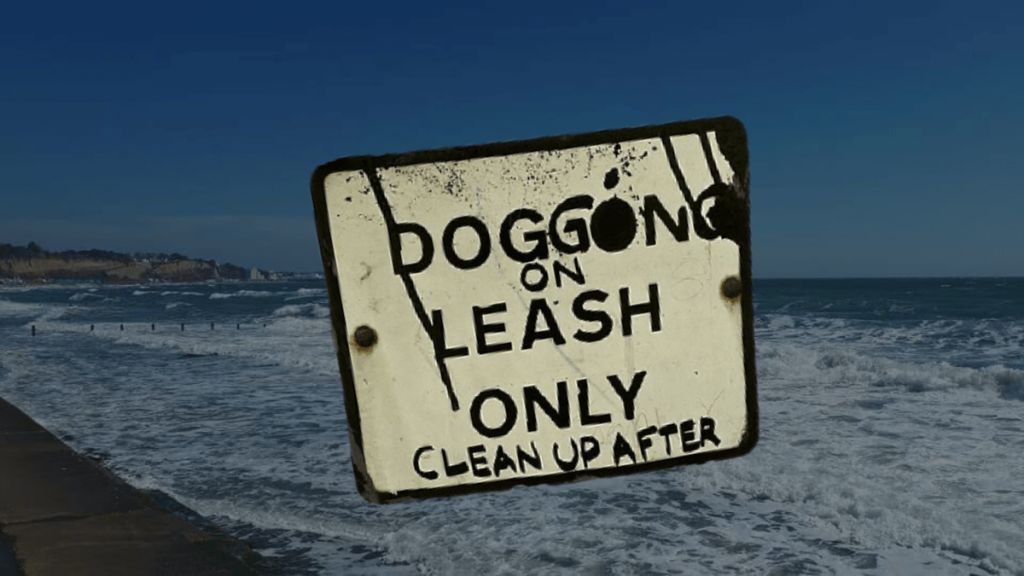 A Depressing Guide to Isle of Wight Dogging