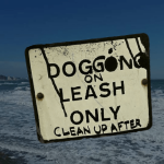 A Depressing Guide to Isle of Wight Dogging