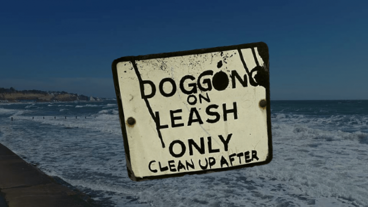 A Depressing Guide to Isle of Wight Dogging