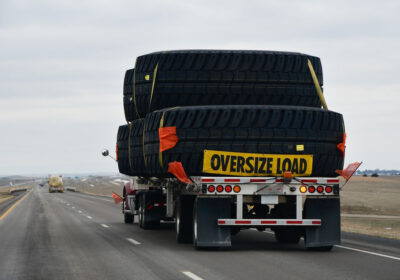 From Cabbages to Coffins: The Weirdest Things Ever Shipped